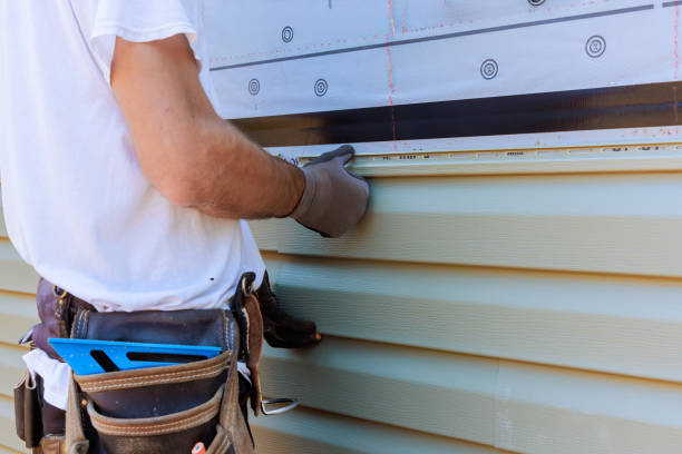 Affordable Vinyl Siding solutions in Dublin, VA